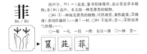 菲字五行|菲字的寓意及五行